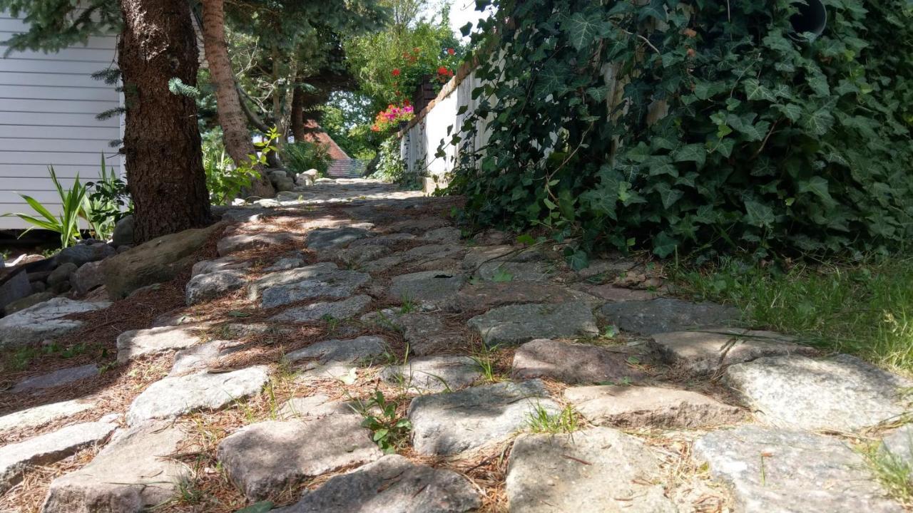 Kamien Baltyku Domki Debina (Ustka) Exterior foto